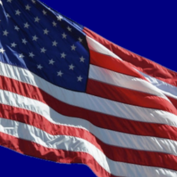 Wright County Clerk favicon